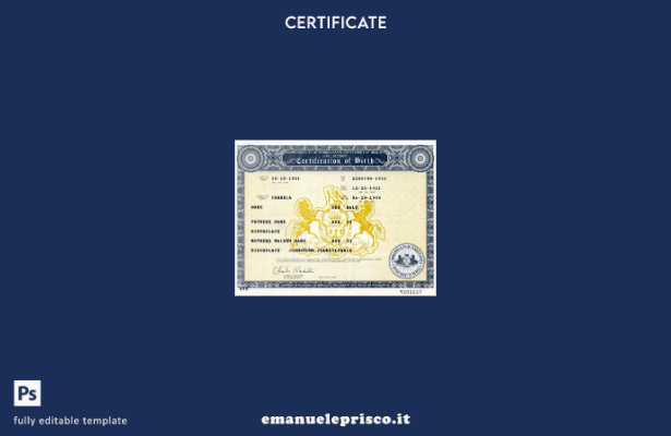 stile verificato Modello di certificato di nascita del Commonwealth della Pennsy